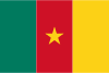 Tv  Cameroon ao Vivo
