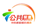 Ver Guangdong Public ao vivo e direto
