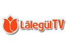 Ver Lâlegül TV ao vivo e direto