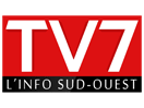 Ver TV 7 ao vivo e direto