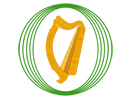 Dáil Éireann live