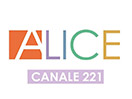 Ver Alice TV ao vivo e direto