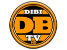 Ver DiBi TV ao vivo e direto