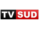 Ver TV Sud ao vivo e direto