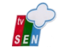 Ver TV Sen ao vivo e direto