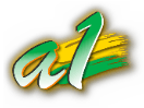 Ver A1 Islam ao vivo e direto