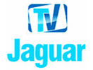Ver TV Jaguar ao vivo e direto