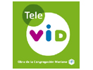 Ver Tele Vid ao vivo e direto