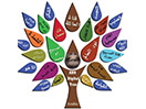 Ver ABN Sat ao vivo e direto