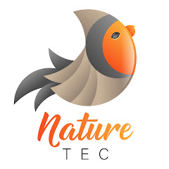 Ver Uplengen Bird and Hedgehog Feeder Cam ao vivo e direto