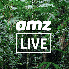 Manaus Live Cams AmzLive