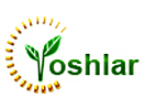 TVR Yoshlar Telekanali live